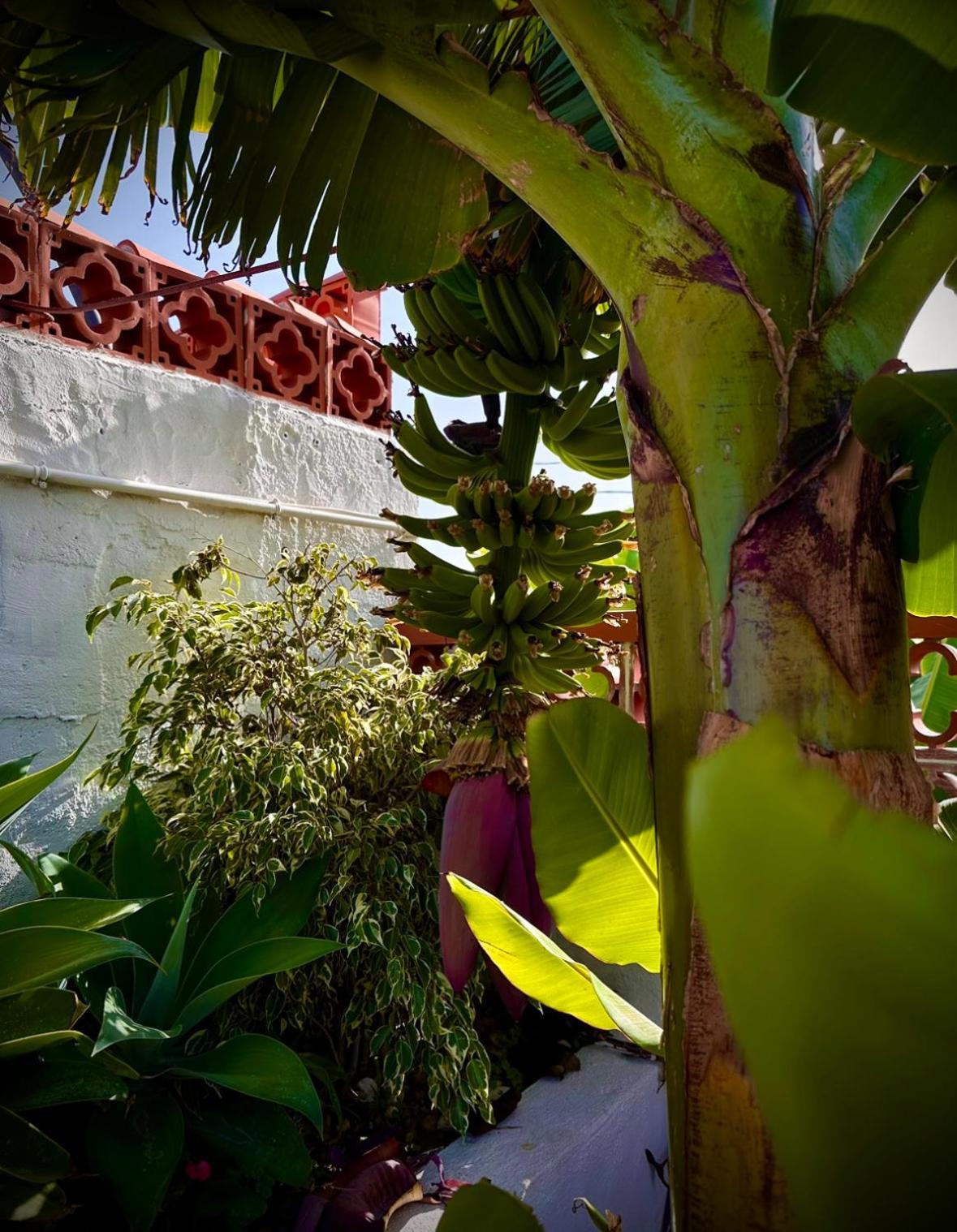 Casa Cucu Villa Тазакорте Екстериор снимка